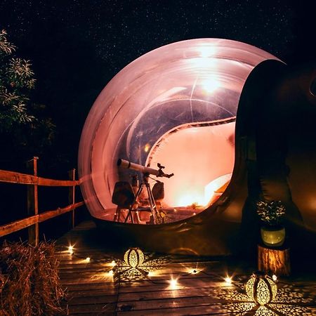 Maso La Marianna Bubble Glamping In Trentino Bed & Breakfast Sant'Orsola ภายนอก รูปภาพ