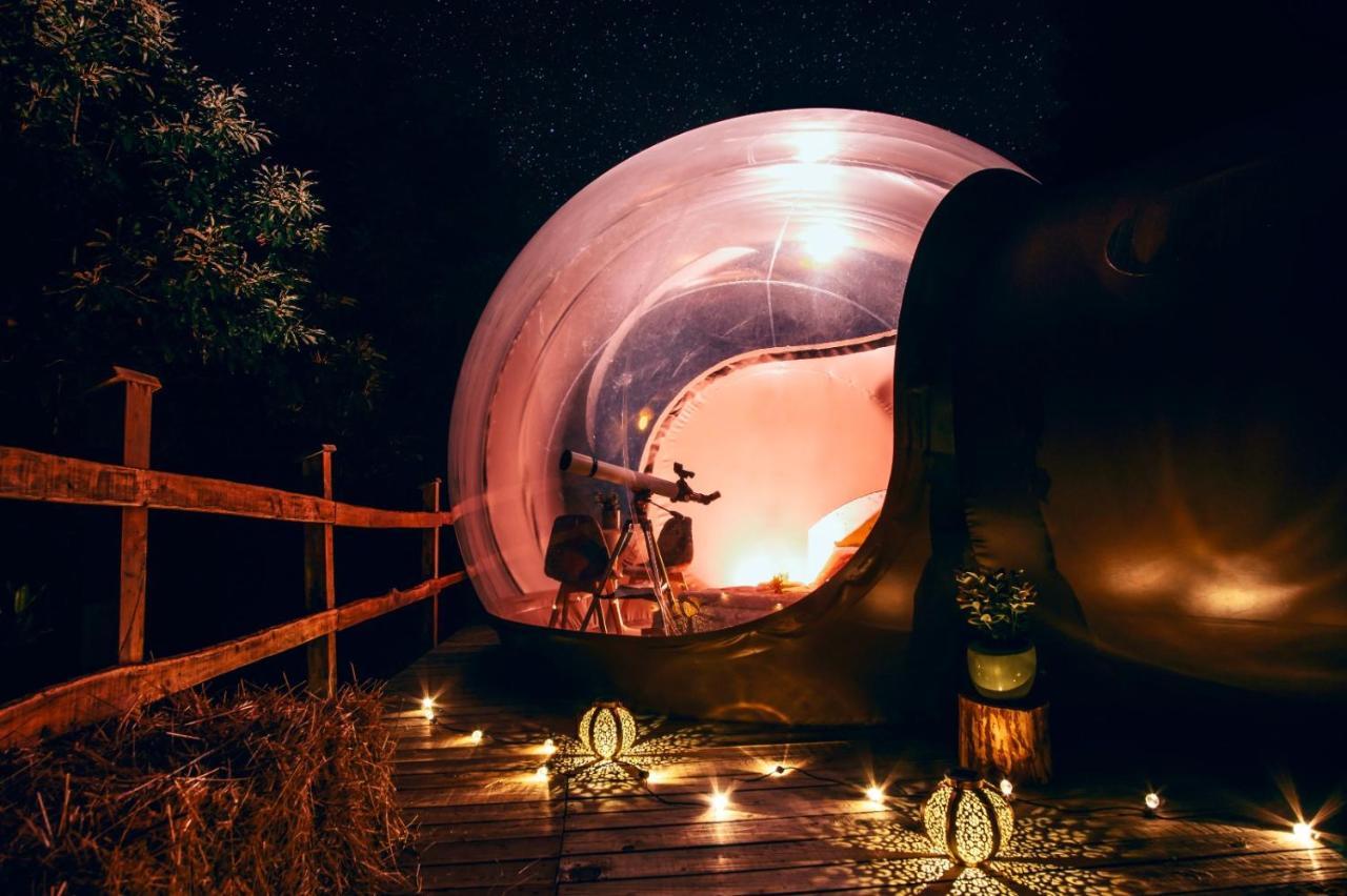 Maso La Marianna Bubble Glamping In Trentino Bed & Breakfast Sant'Orsola ภายนอก รูปภาพ